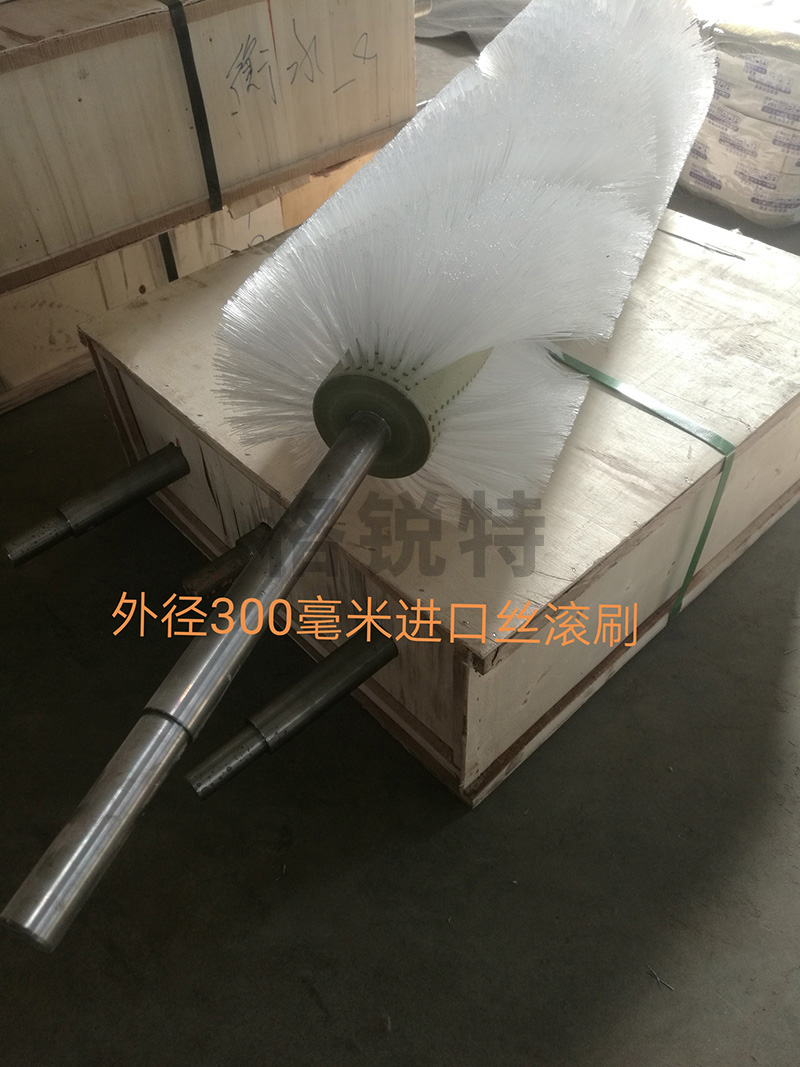 電動(dòng)滾刷清掃器 電動(dòng)滾刷清掃器